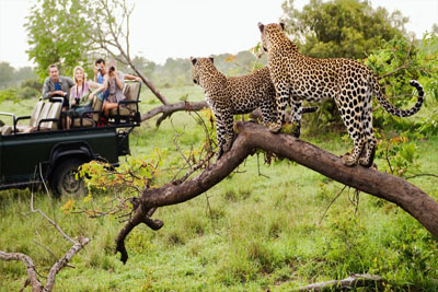 South africa safari holidays
